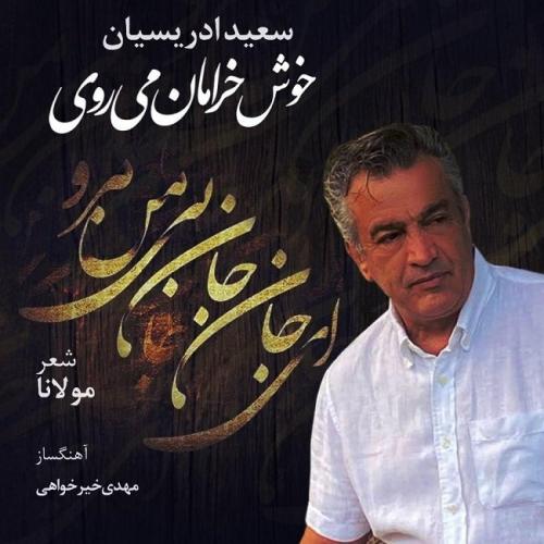 سعید ادریسیان خوش خرامان میروی